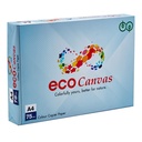 Jk Eco Canvas Colour Copier Paper A4 75 Gsm 500 Sheets (Blue) Image