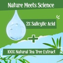 St. Ives Tea Tree Pimple Clear Deep Cleansing Face Wash 100gm Image