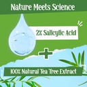 St. Ives Tea Tree Pimple Clear Deep Cleansing Face Wash 100gm Image