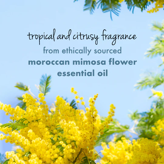 Love Beauty & Planet Coconut Water & Mimosa flower Body Wash 200ml Image