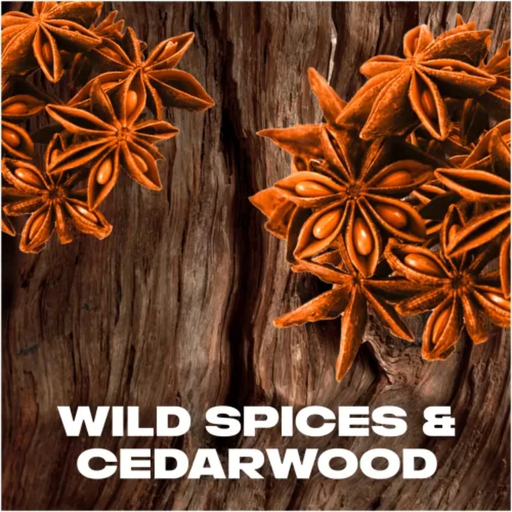 Axe Wild Spice Deodorant Spray, 150 ml Image