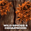 Axe Wild Spice Deodorant Spray, 150 ml Image