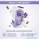 Vaseline Body Lotion Calming Lavender 100ml Image
