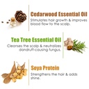 WOW Skin Science Anti Dandruff Shampoo 300ML Image