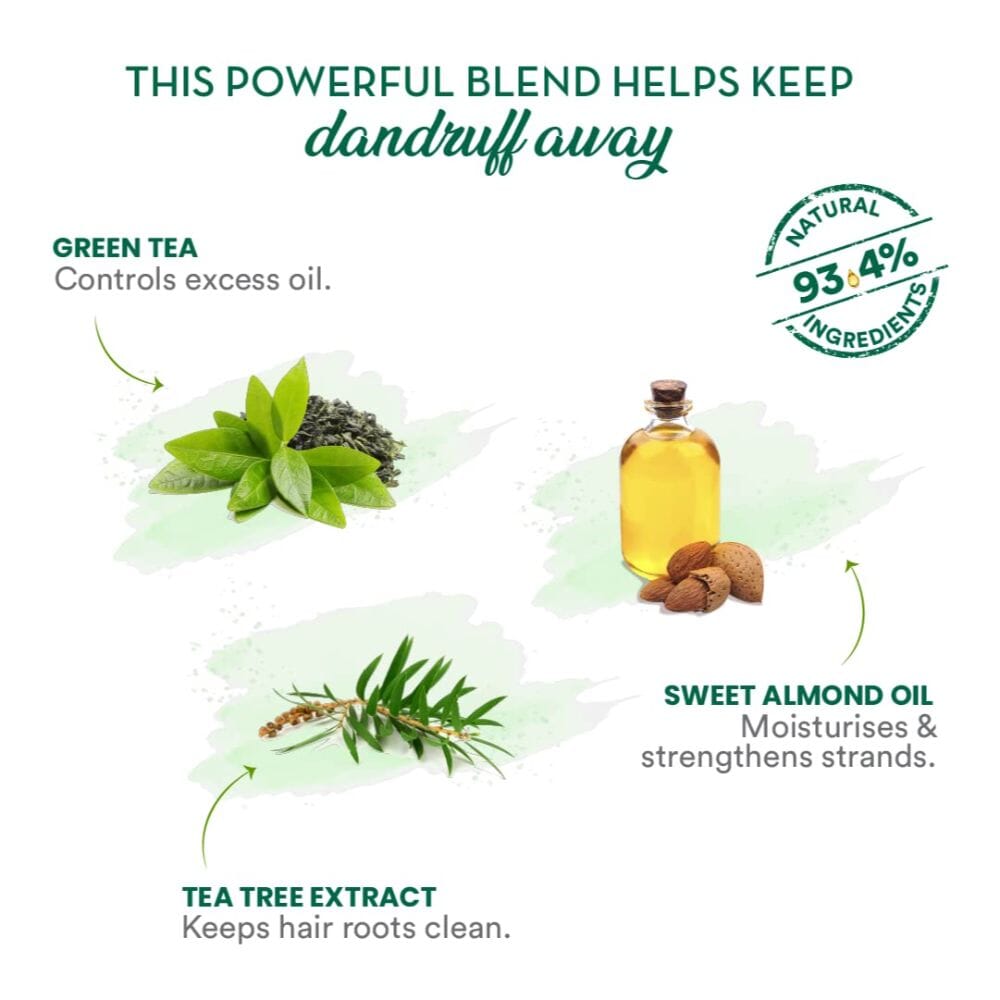 WOW Skin Science Green Tea & Tea Tree Anti-Dandruff Shampoo - 300 ml Image