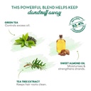 WOW Skin Science Green Tea & Tea Tree Anti-Dandruff Shampoo - 300 ml Image